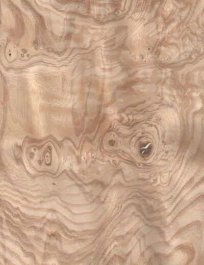 Aspen tuber veneer