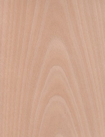 Beech timber