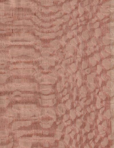 Lacewood veneer