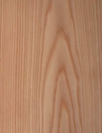 Larch timber