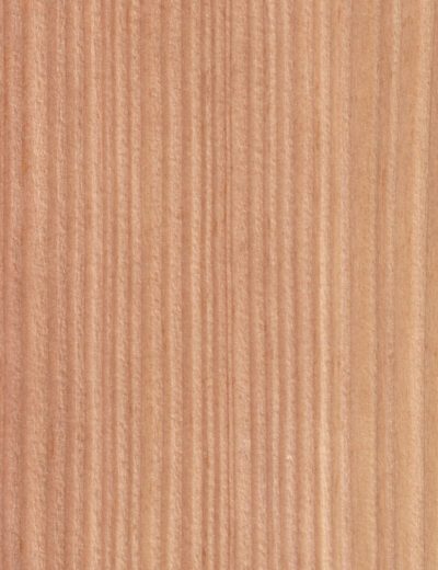 Larch veneer