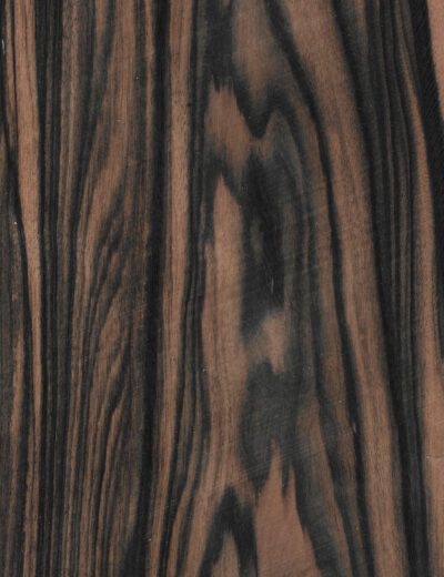 Ebony / Macasar (Blackwood) veneer