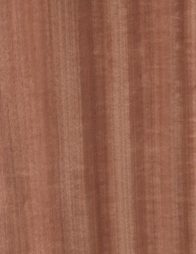 Makore veneer