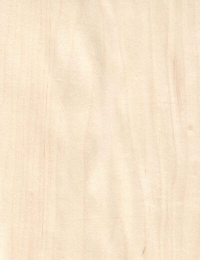 American Maple timber