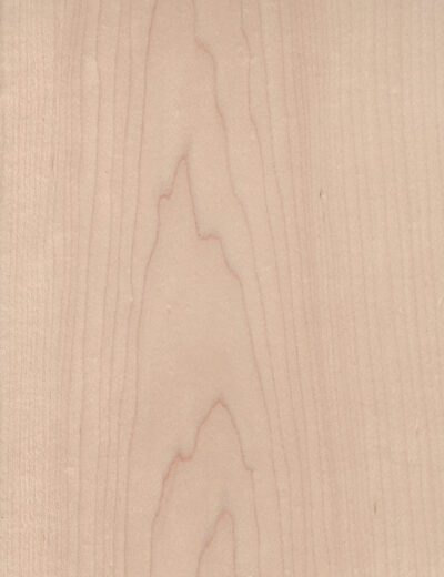 American Maple veneer