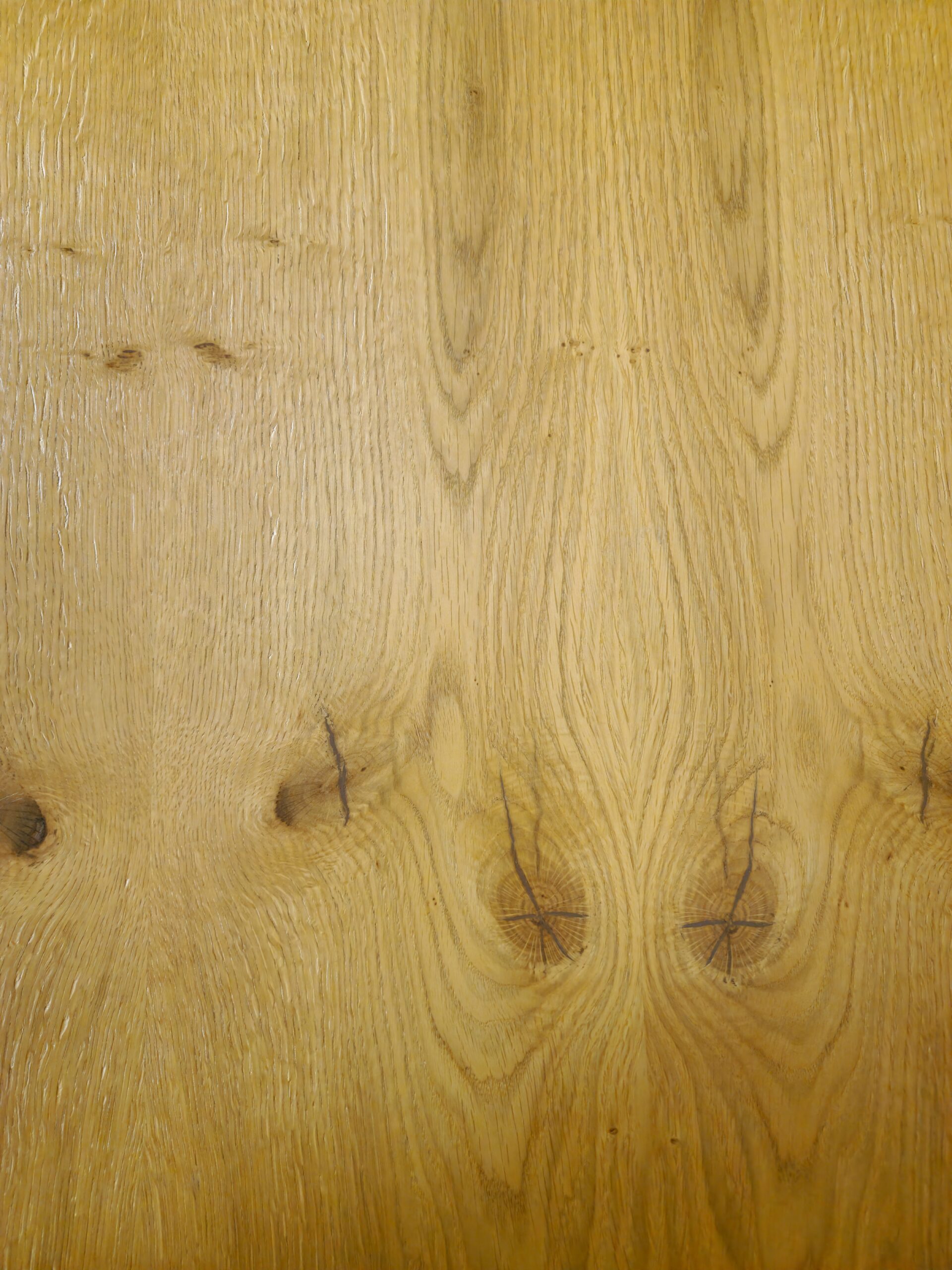 Oak bark veneer