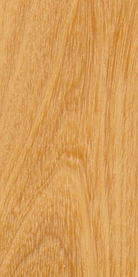 Piquia timber